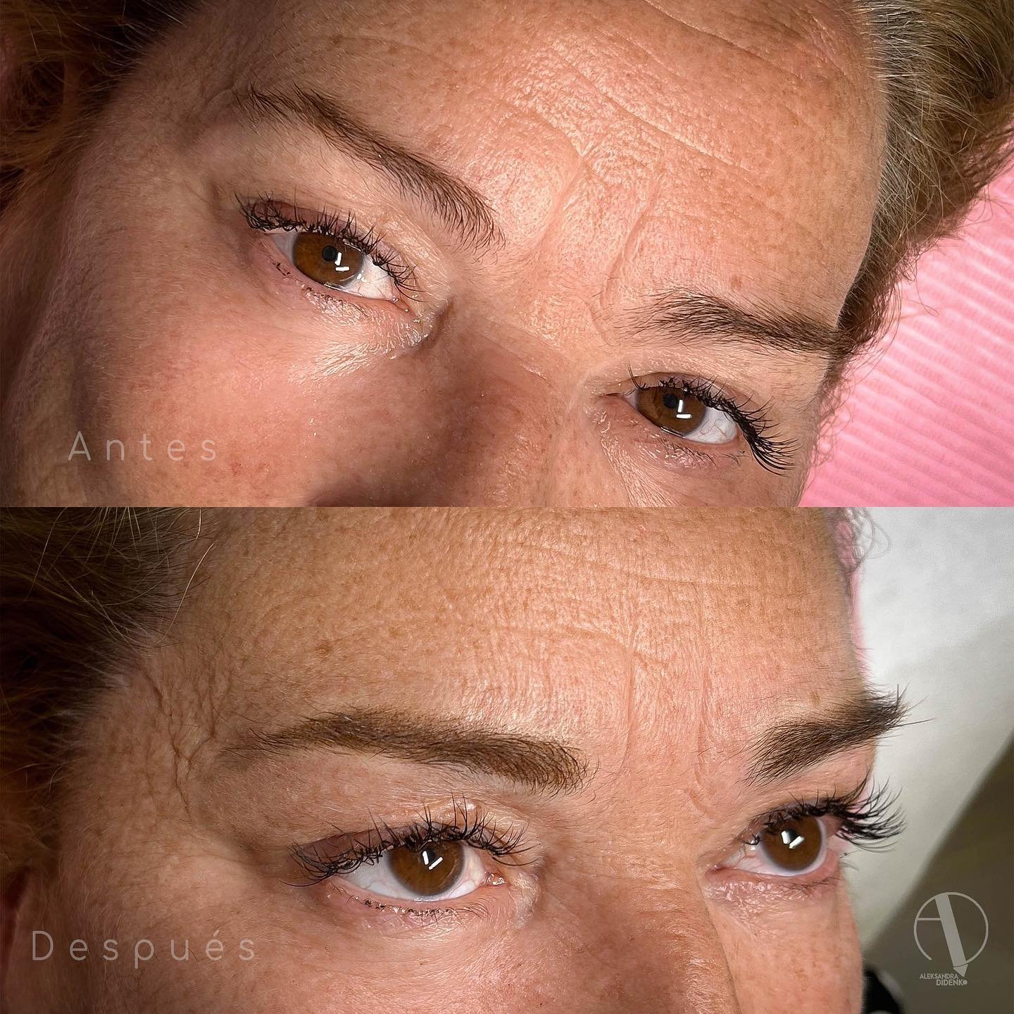 481796413_1195120265956461_1448762746208454235_n