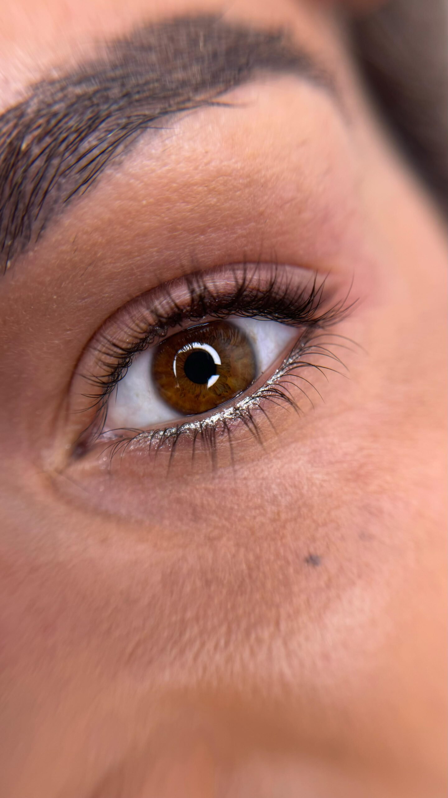 WhatsApp Image 2025-07-07 at 09.33.17